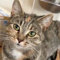 Photo of Remmie & Rosie