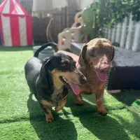 Photo of Arlo &  Minnie