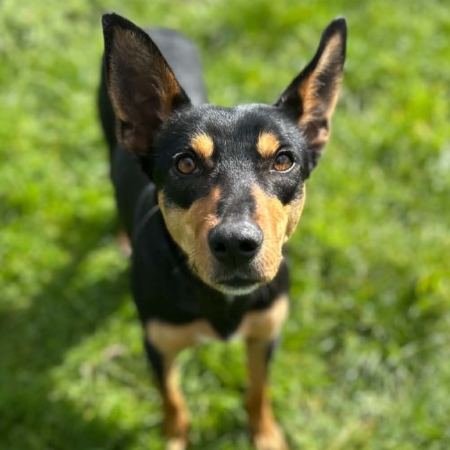 Photo of Kira