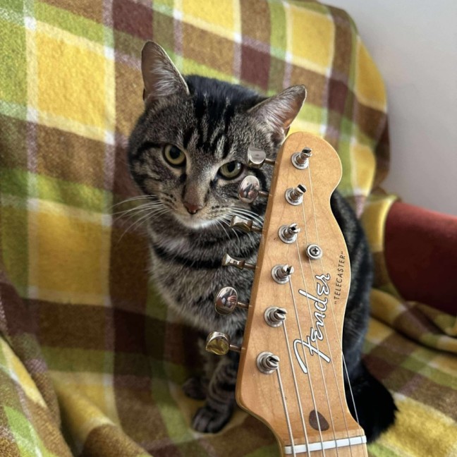 Photo of Jones   Meet Me @ Pe Tstock Prahran!