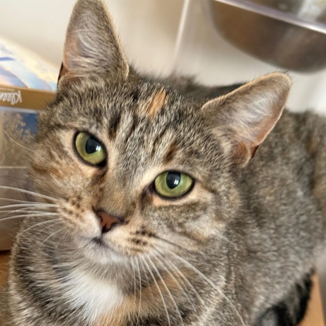 Photo of Remmie & Rosie