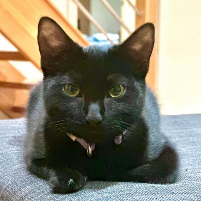 Photo of Benito & Maya