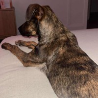 Photo of Boudica