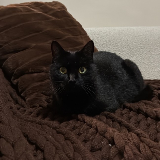 Photo of Persia
