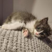 Photo of Molly