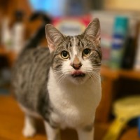 Photo of Clyde