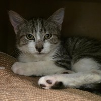 Photo of Clyde