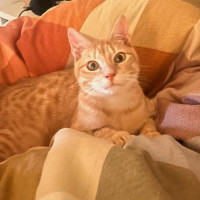 Photo of Cider