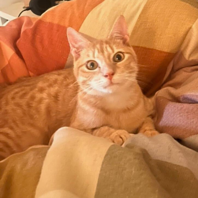 Photo of Cider