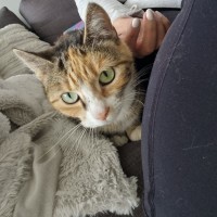 Photo of Simona