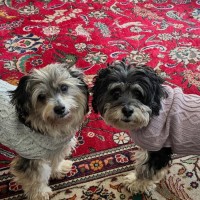 Photo of Libby & Jack