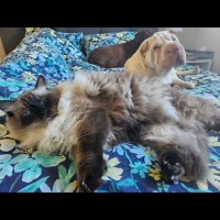 Photo of Chase & Charlie