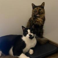 Photo of Kleo And Theodore 