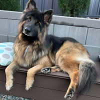 Photo of Humphrey Bear