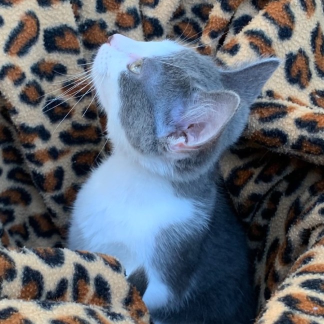 Photo of Chad 🐻‍❄️💙🐻‍❄️