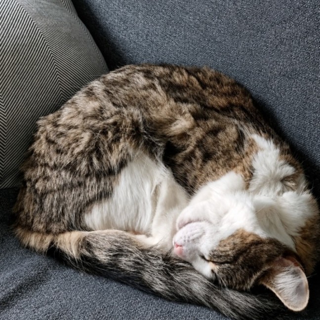Photo of Feefee