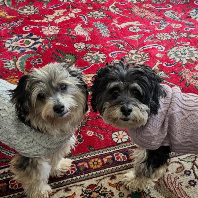 Photo of Libby & Jack