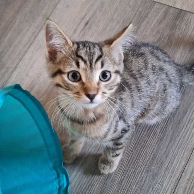 Photo of Timmy