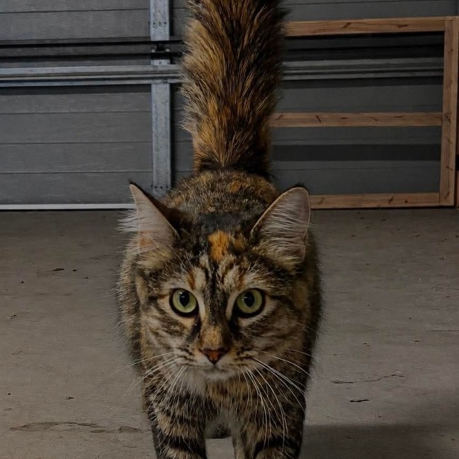 Photo of Molly
