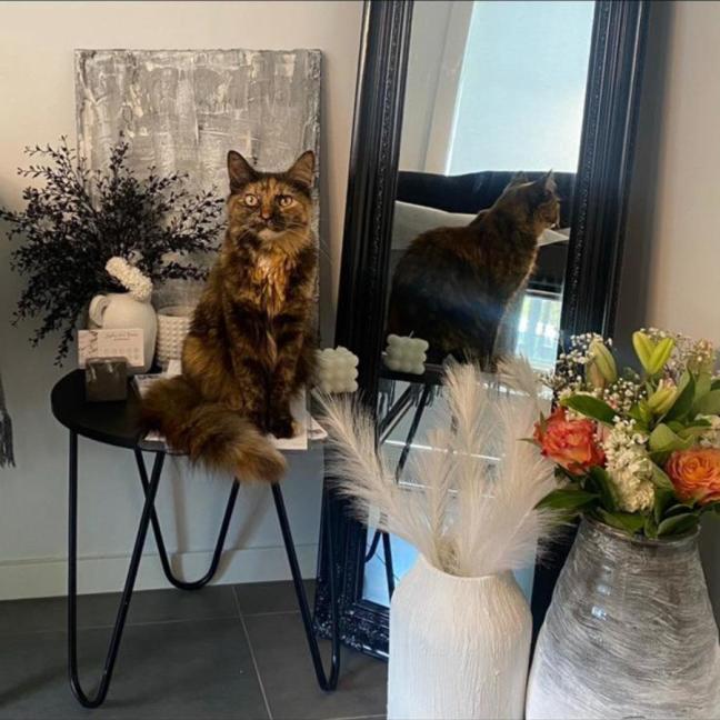 Photo of Theo And Kleo