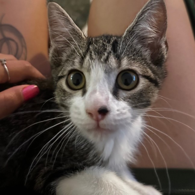 Photo of Polly