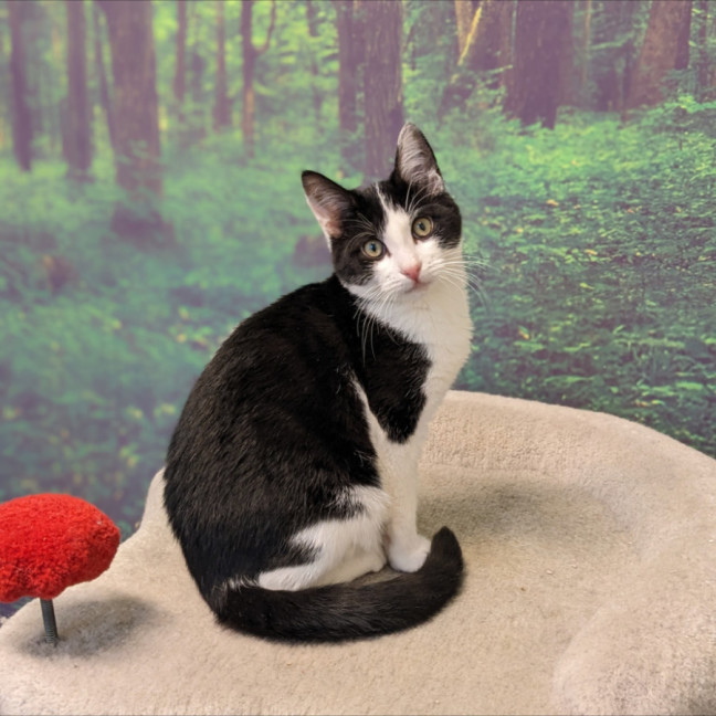 Photo of Asha   Located In Preston