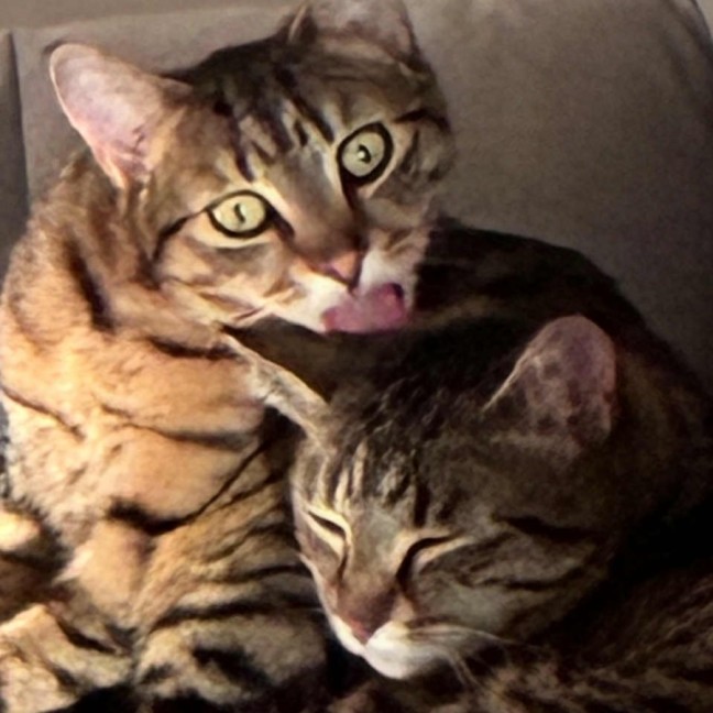 Photo of Ferris & Felix