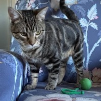 Photo of Albert