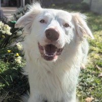 Photo of Bounty
