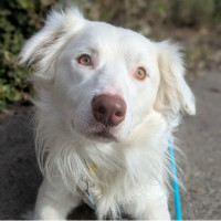 Photo of Bounty