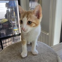 Photo of Wilson
