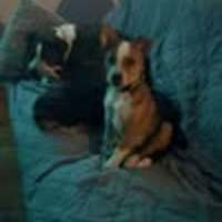Photo of Ziggy
