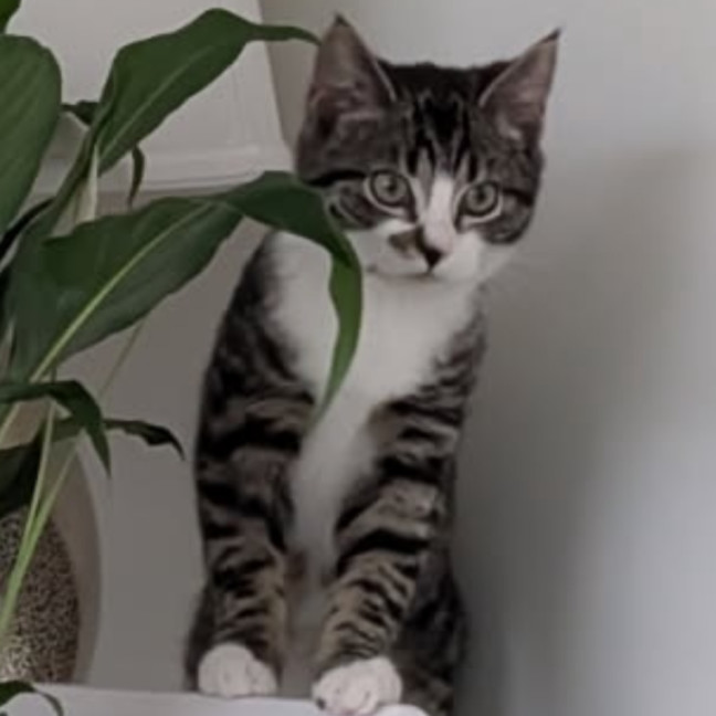 Photo of Lennox (Lenn) 