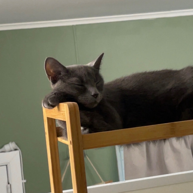 Photo of Lana & Lucy