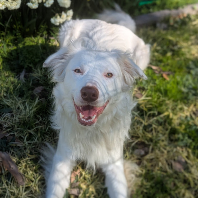 Photo of Bounty