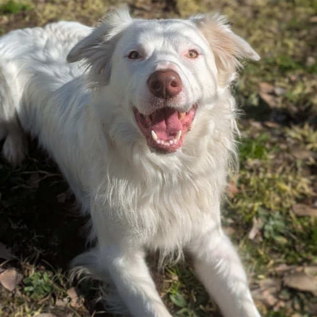 Photo of Bounty