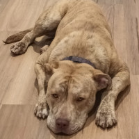 Photo of Theodorable