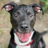 Photo of Finn