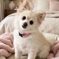 Photo of Ladia
