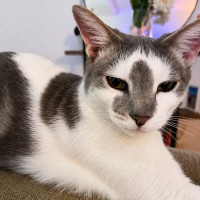 Photo of Hilly