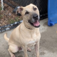 Photo of Zuko