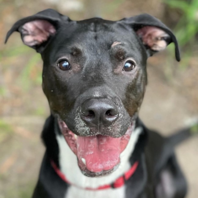 Photo of Finn