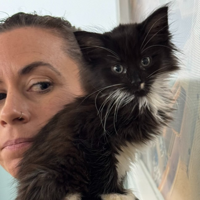 Photo of Gilbert 💙