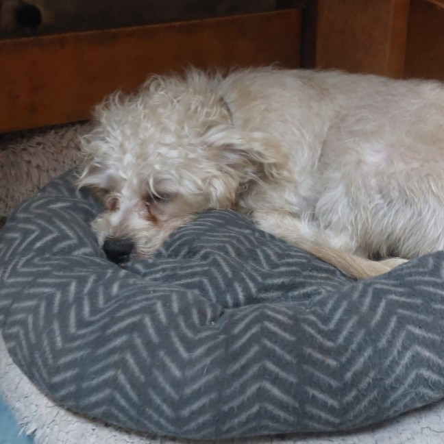 Photo of Marly