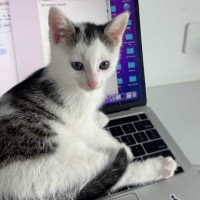 Photo of Freddie & Poppy