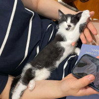 Photo of Miffy   Located In Wantirna South