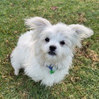 Photo of Leo