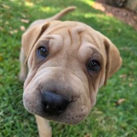 Photo of Stan