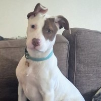 Photo of Aerona
