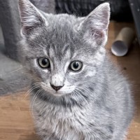 Photo of Paddy